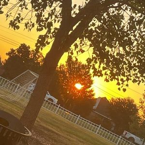 Meet your Posher, Lily